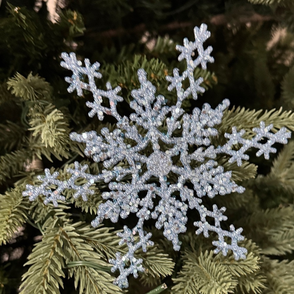 Glittering Silver Snowflake Ornament